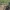 Fahrrad vor einer abgesperrten historischen Gedenkstätte im Wald, mit Informationstafeln und überwucherten Betonmauern im Hintergrund.